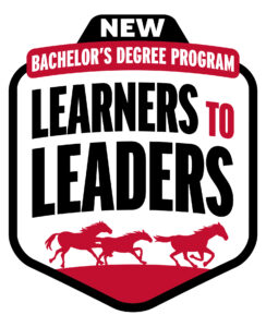 Learners to Leaders Bachelor's Program